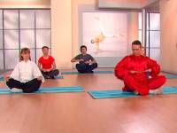 Китайская гимнастика. Выпуск 4